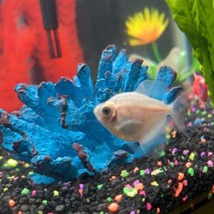 Meet your Posher, 🤨claire😎